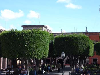 SMA_Jardin